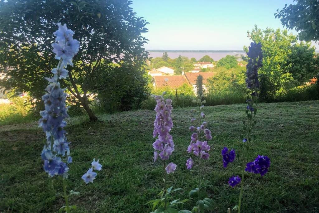 Appartement Avec Vue Panoramique Sur L'Estuaire De La Gironde Plassac  Exterior photo